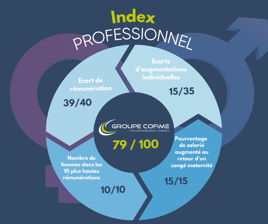 Index professionnel - 79/100 - Groupe Cofimé 